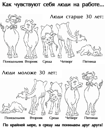 Периоды трансформации учителя